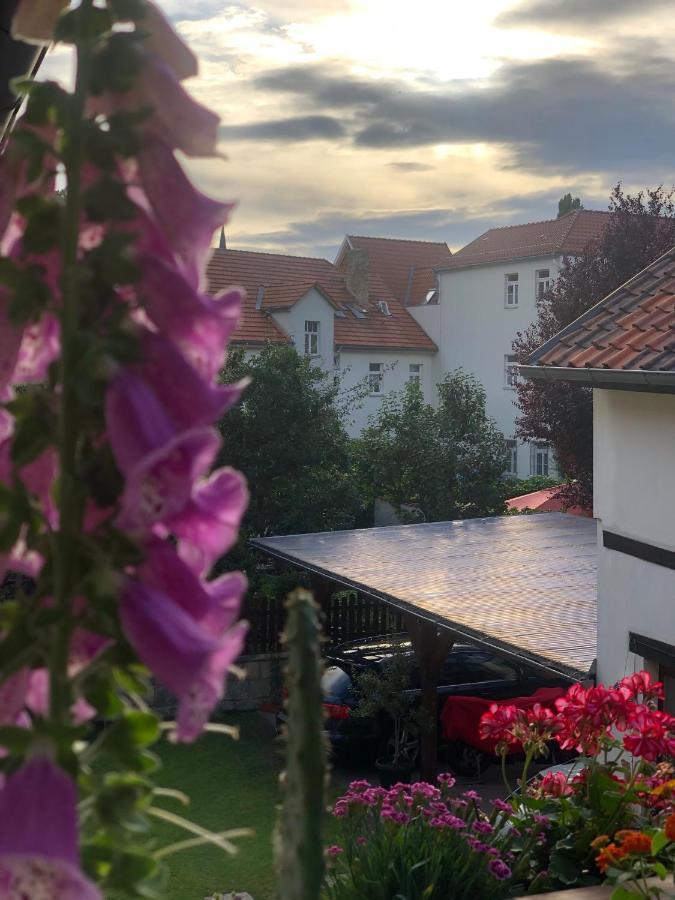 Апартаменти Am Mathildenbrunnen Klein Кведлінбург Екстер'єр фото
